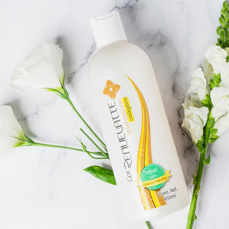 Renuevatte Shampoo Familiar con Colágeno y Jalea Real (Paquete de 3 piezas - 450 ml c/u