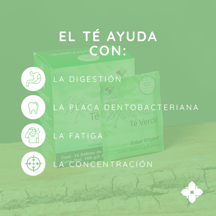 Moviment Té Verde Sabor Original con Vitamina C GNT-Val (Caja con 15 Sobres)