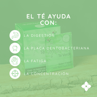 Moviment Té Verde Sabor Original con Vitamina C GNT-Val (Caja con 15 Sobres)