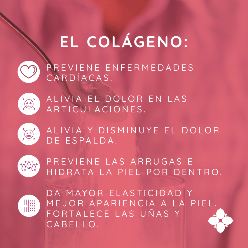 Colágeno Adicionado con isoflavonas de soya, extracto de arándanos y DHA omega 3