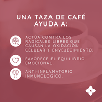 Cafe Orgánico GNT Reishi